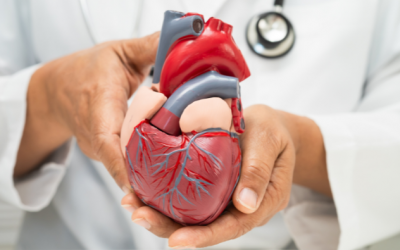 Ensemble, structurons le parcours Insuffisance Cardiaque (IC) sur notre territoire !