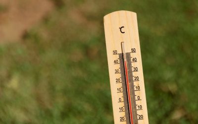 Si on parlait CANICULE ?