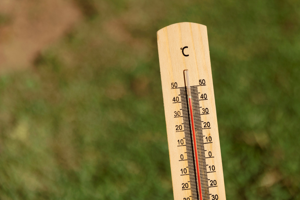 Si on parlait CANICULE ?